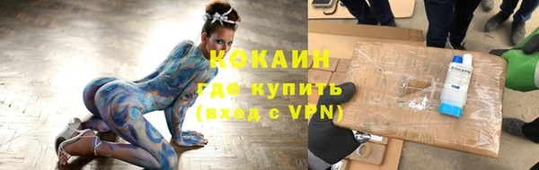 mdpv Горно-Алтайск