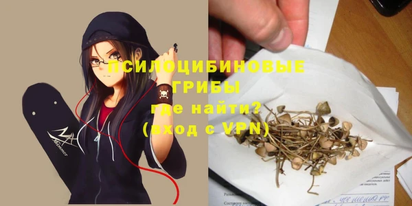 MDMA Горнозаводск