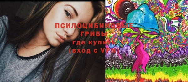mdpv Горно-Алтайск