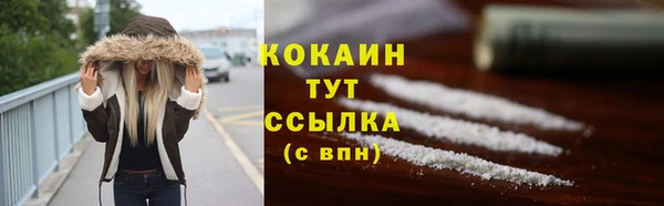 mdpv Горно-Алтайск