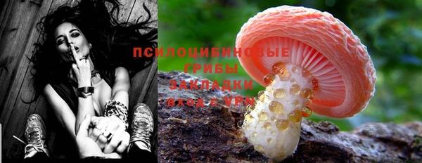 MDMA Горнозаводск